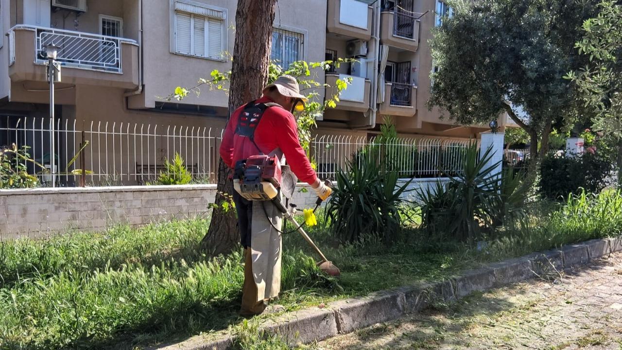 EFELER’İN YEŞİL ALANLARINDA YAZ TEMİZLİĞİ