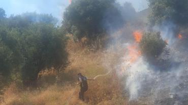 Nazilli Belediyesi ekipleri Bozyurt'taki yangın söndürme çalışmalarına destek verdi