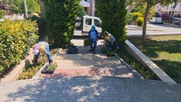 Didim Belediyesi'nin kendi üretimi çiçekler toprakla buluşuyor