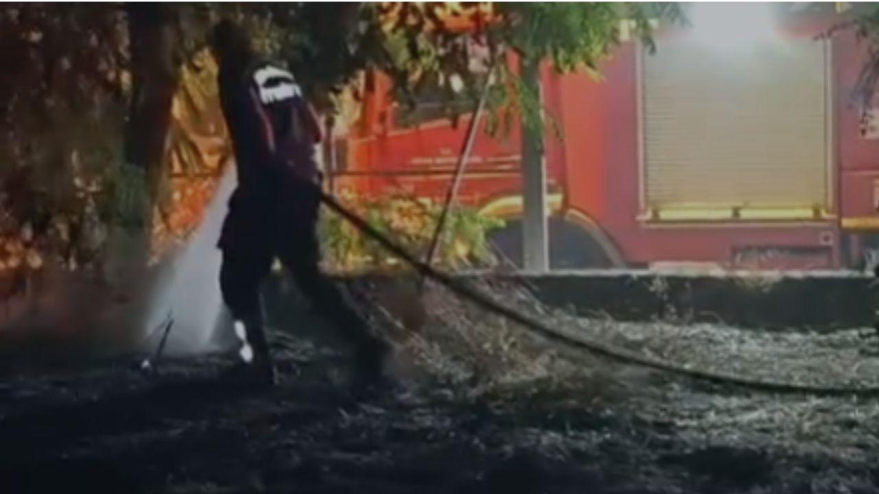 Nazilli’de Korkutan Otluk Yangını: