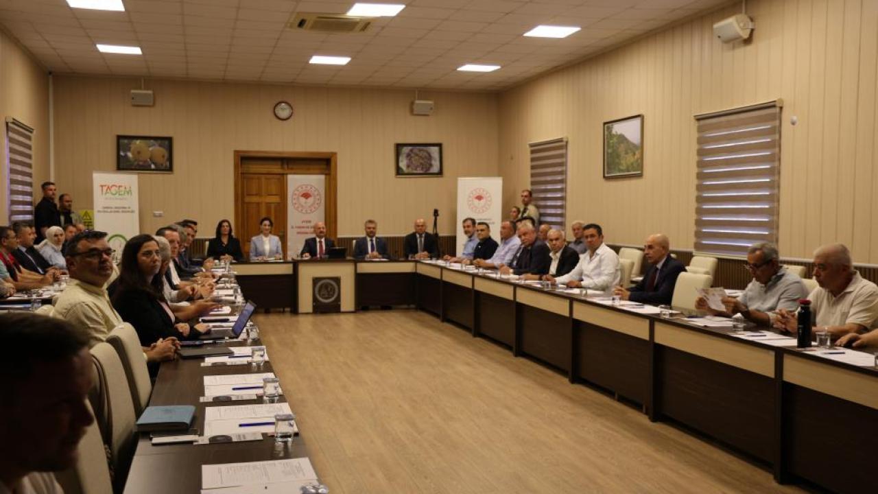 Vali Varol: "Aydın inciri altın değerinde bir ürün"