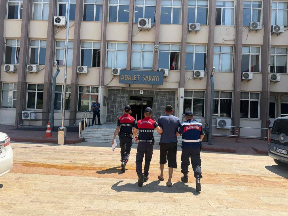 Koçarlı'da 15 koyun evin bahçesinden çalındı